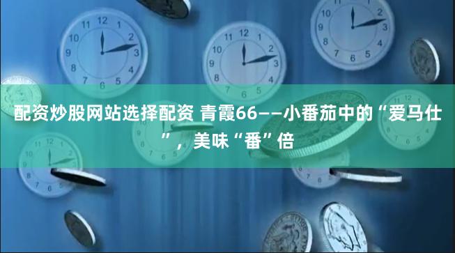 配资炒股网站选择配资 青霞66——小番茄中的“爱马仕”，美味“番”倍