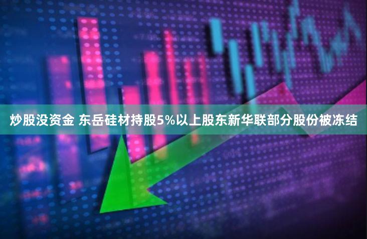 炒股没资金 东岳硅材持股5%以上股东新华联部分股份被冻结