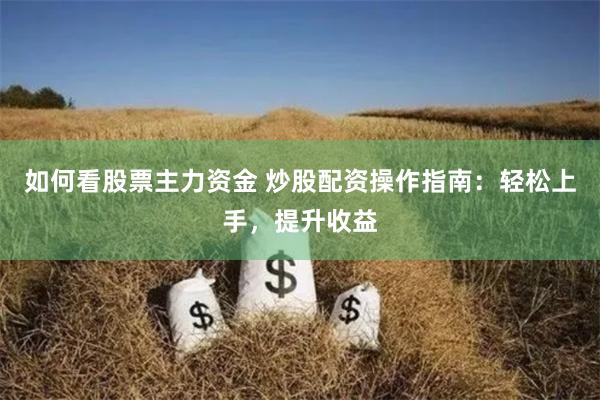 如何看股票主力资金 炒股配资操作指南：轻松上手，提升收益