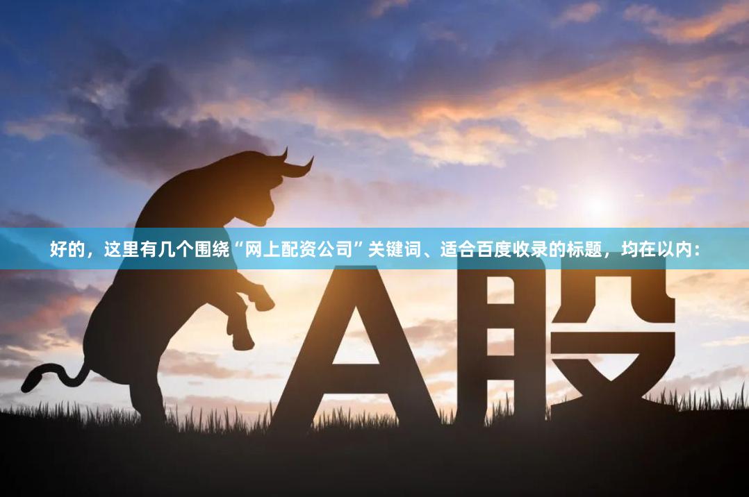 好的,这里有几个围绕“网上配资公司”关键词、适合百度收录的标题,均在以内: