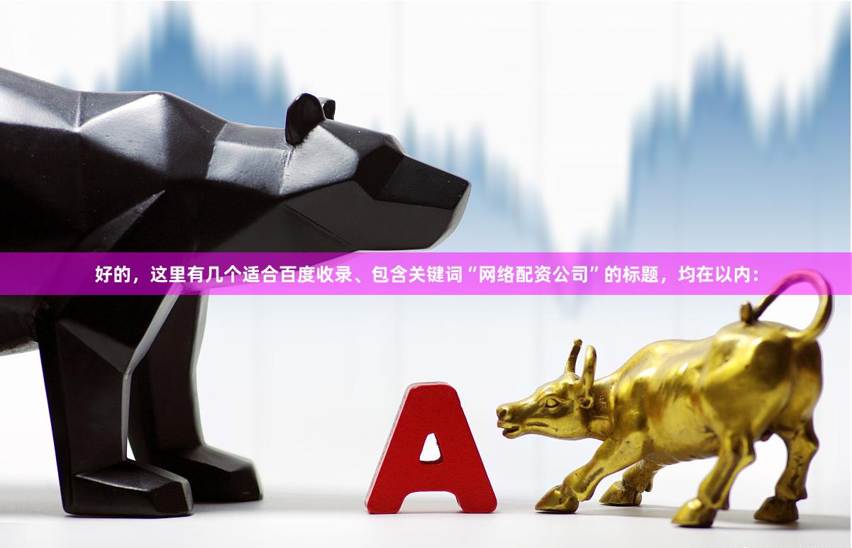 好的，这里有几个适合百度收录、包含关键词“网络配资公司”的标题，均在以内：