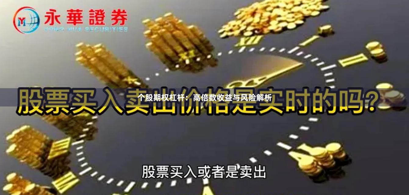 个股期权杠杆：高倍数收益与风险解析